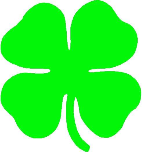 Image of 4 Leaf Clover